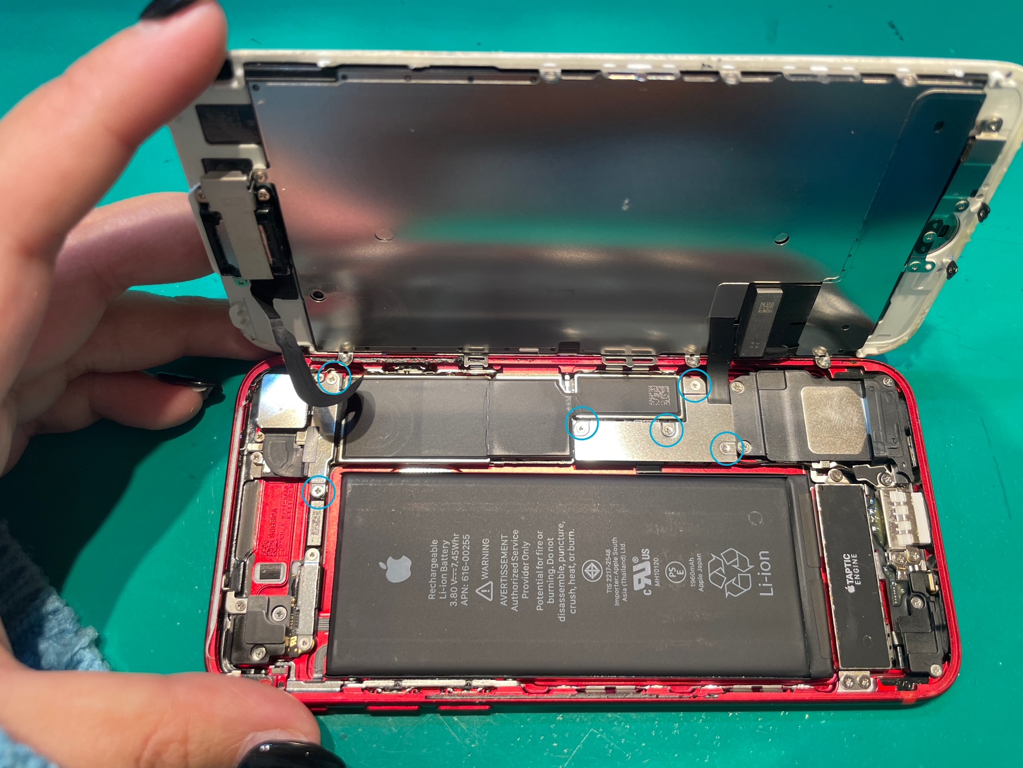 iPhone7のフロントパネル交換を承りました！ | iPhone修理アイサポ